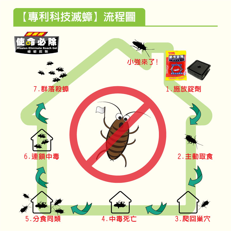 [體驗] 使命必除居家除蟲除蟑螂螞蟻專人免費到府指導（專業除蟲）蟑螂藥 @ELSA菲常好攝